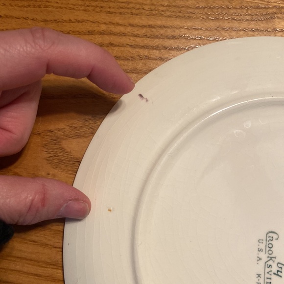 Vintage Raggedy Ann & Andy Ware by Crooksville USA 1940’s set of 2 Plates - Picture 10 of 12